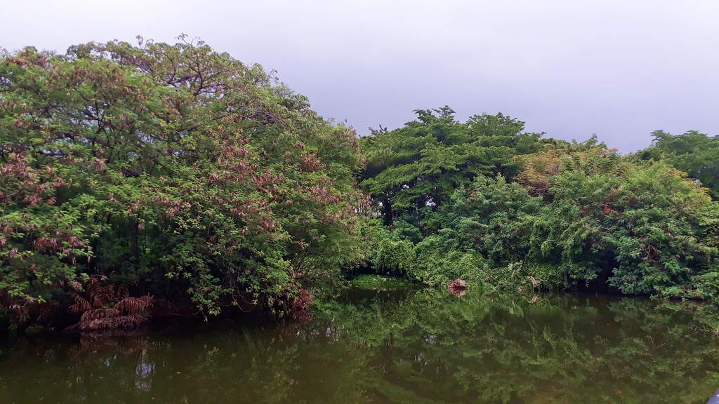Pasar Seni Ancol